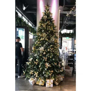 Christmas tree 3 meters (10 foot) fully decorated with lights 8 week hire